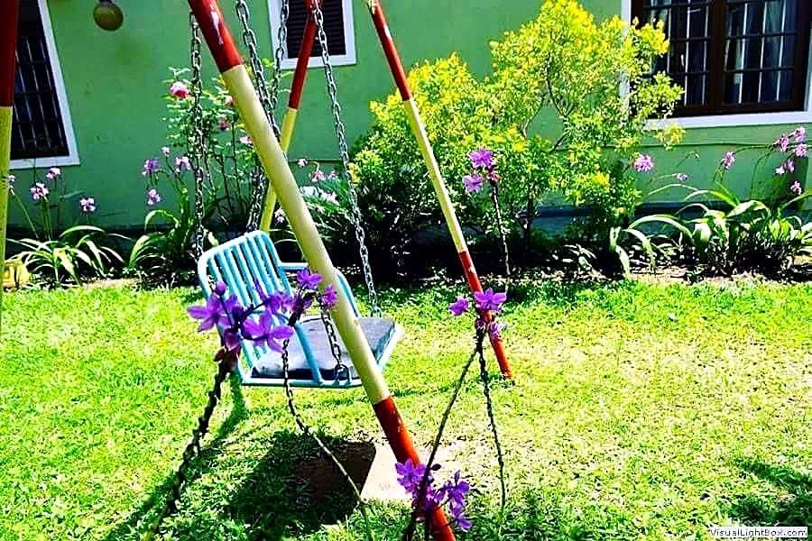 The garden swing